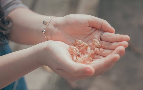 Quelle est la bonne dimension pour un bracelet ?